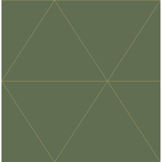 Twilight Geometric
