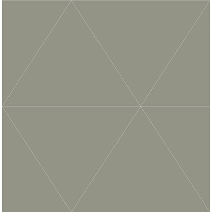 Twilight Geometric
