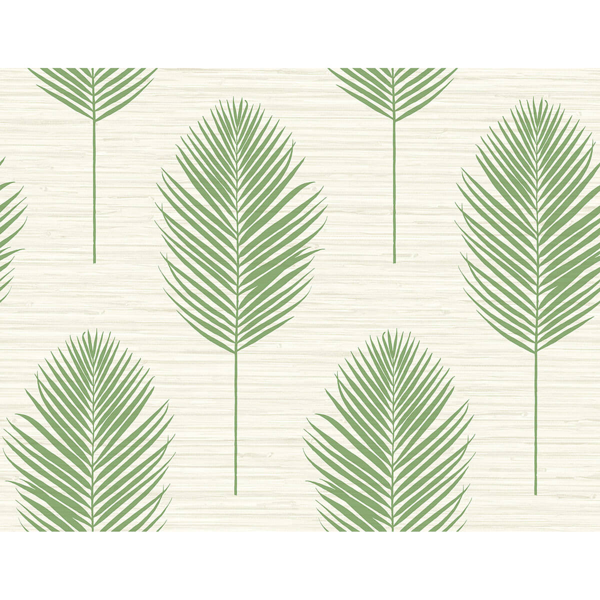 Bali Fern