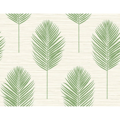 Bali Fern