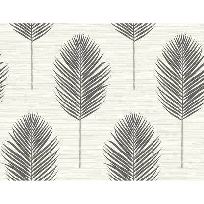 Bali Fern