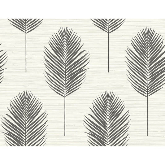 Bali Fern