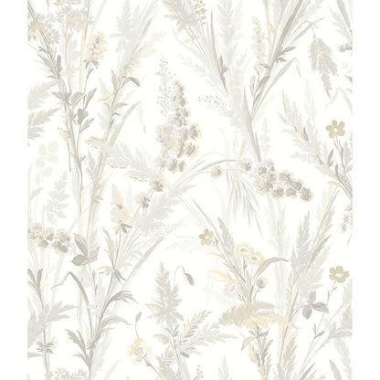 Hillaire Meadow
