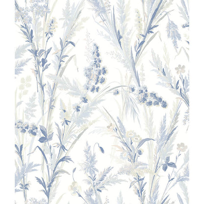 Hillaire Meadow