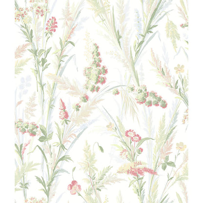 Hillaire Meadow