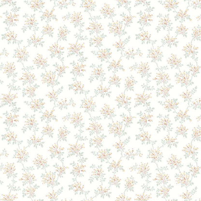 Sofiane Botanical