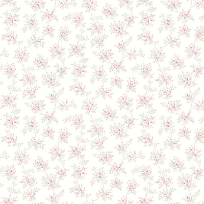 Sofiane Botanical