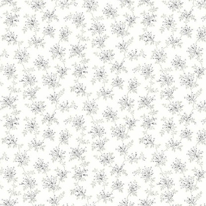 Sofiane Botanical