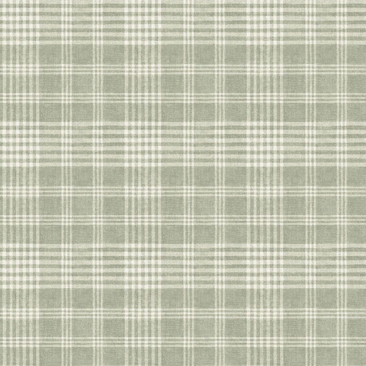 Perry Plaid