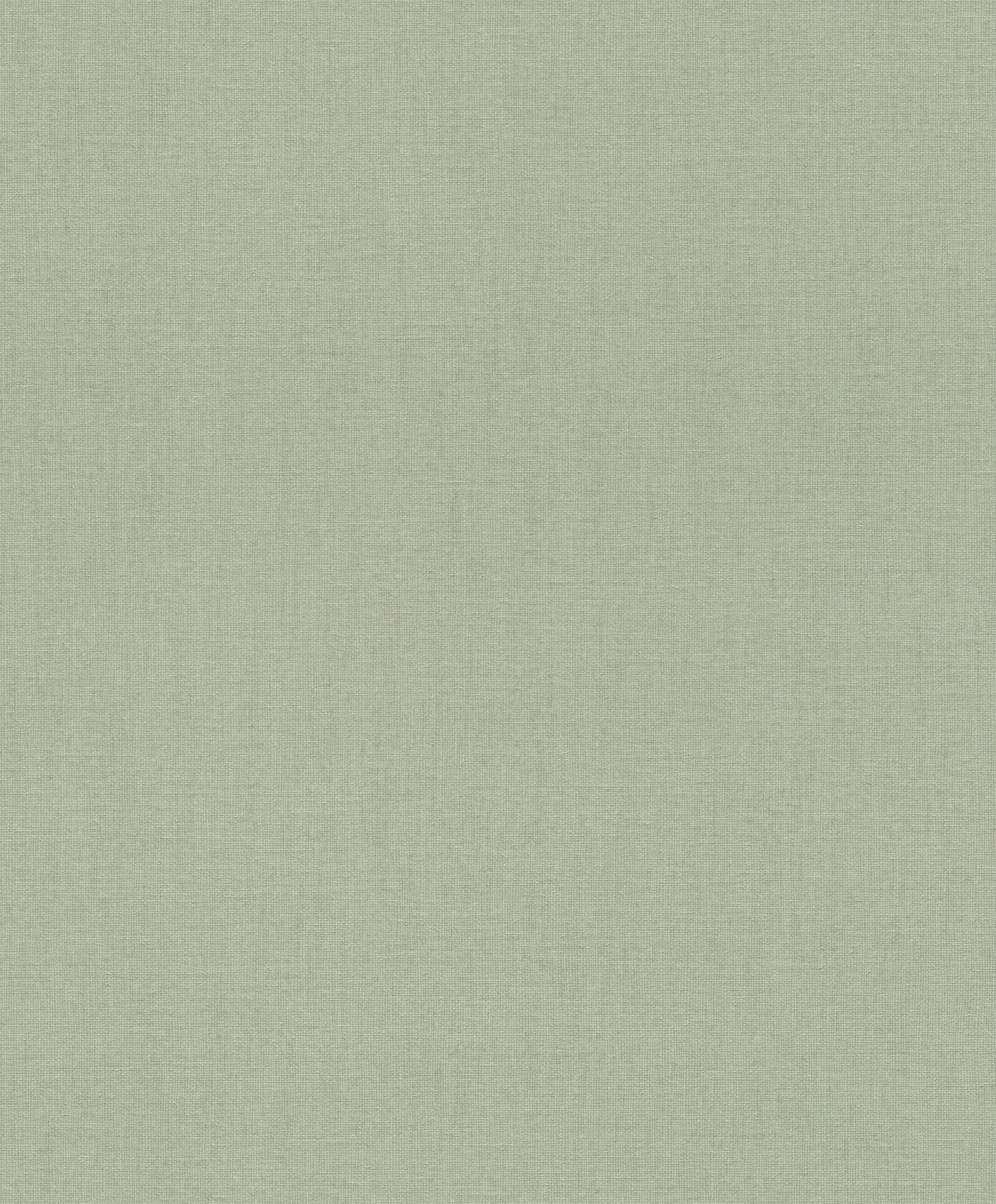 BREWSTER - NAIM