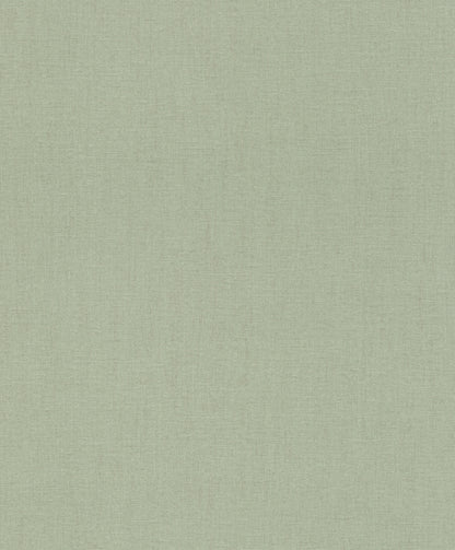 BREWSTER - NAIM