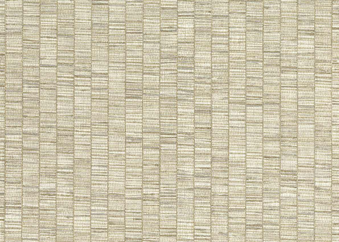 RIBBON GRASS