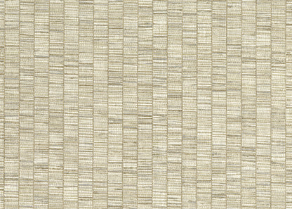 RIBBON GRASS