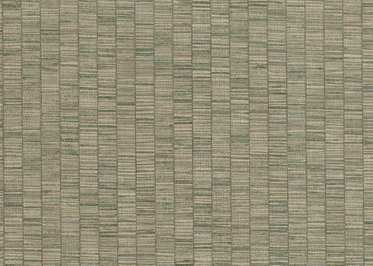RIBBON GRASS