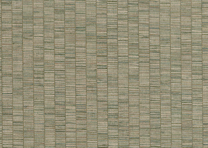 RIBBON GRASS