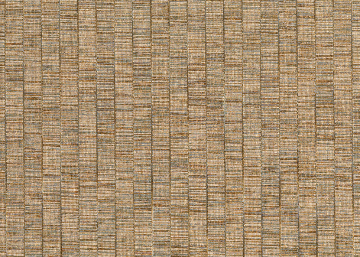 RIBBON GRASS