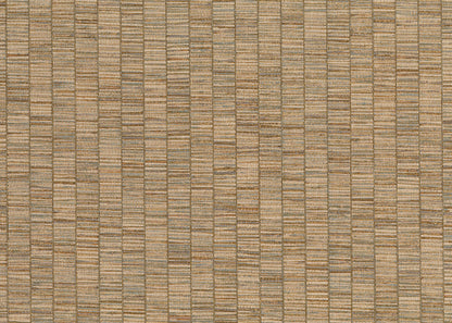 RIBBON GRASS