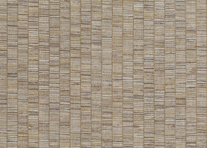 RIBBON GRASS