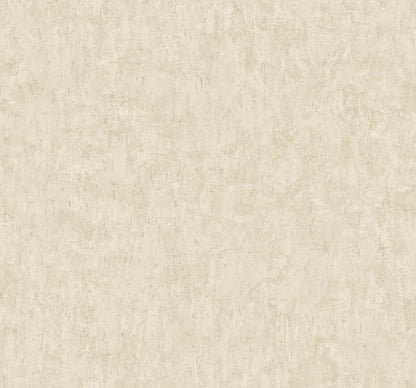 WHITE TEA