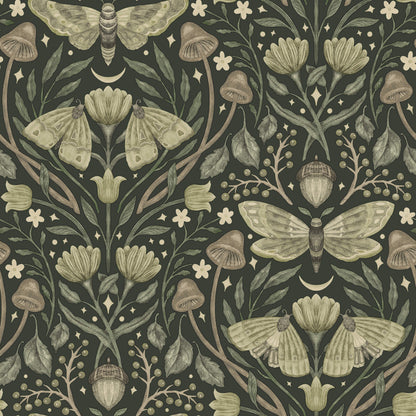Mystic Moth  Forest