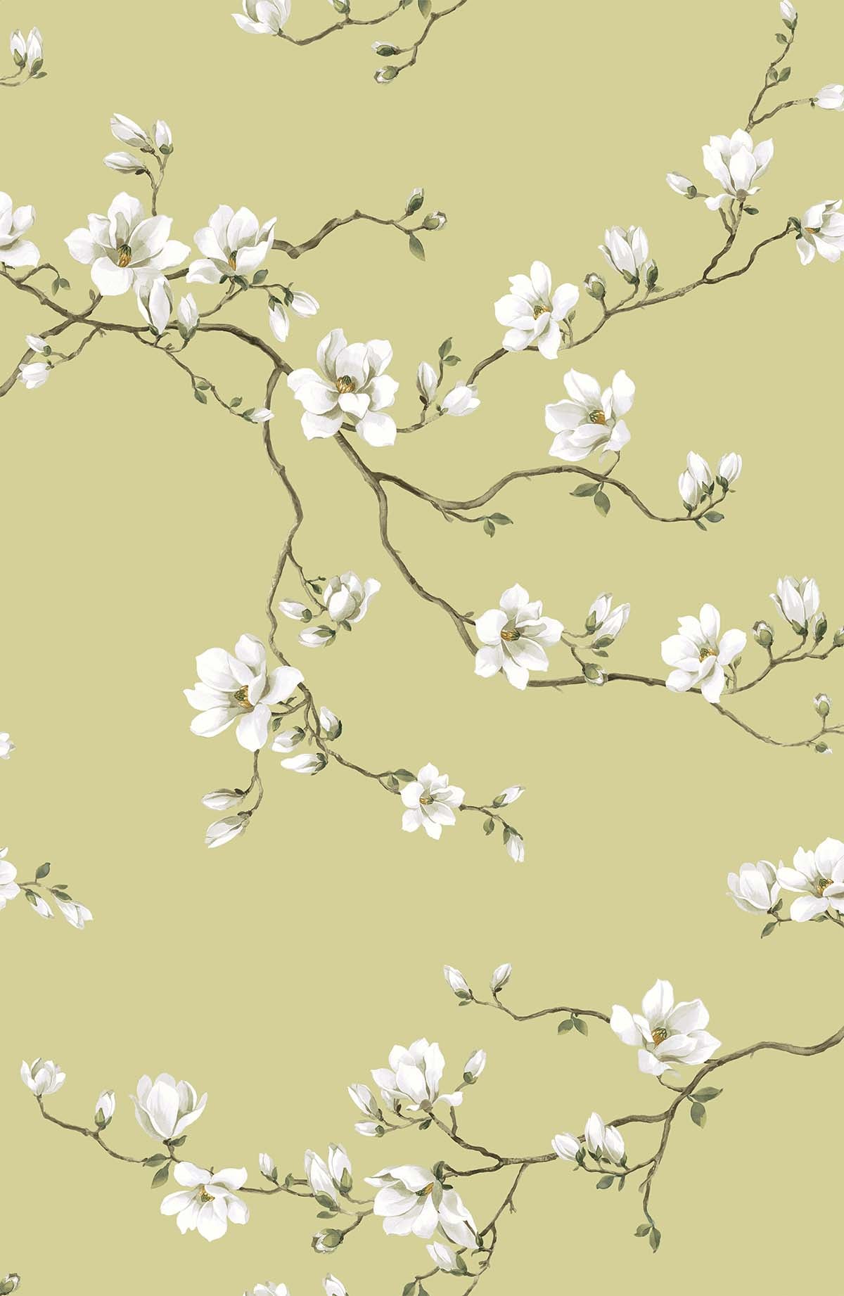 Moonlace Magnolia