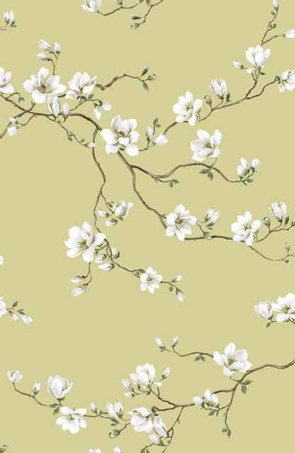 Moonlace Magnolia
