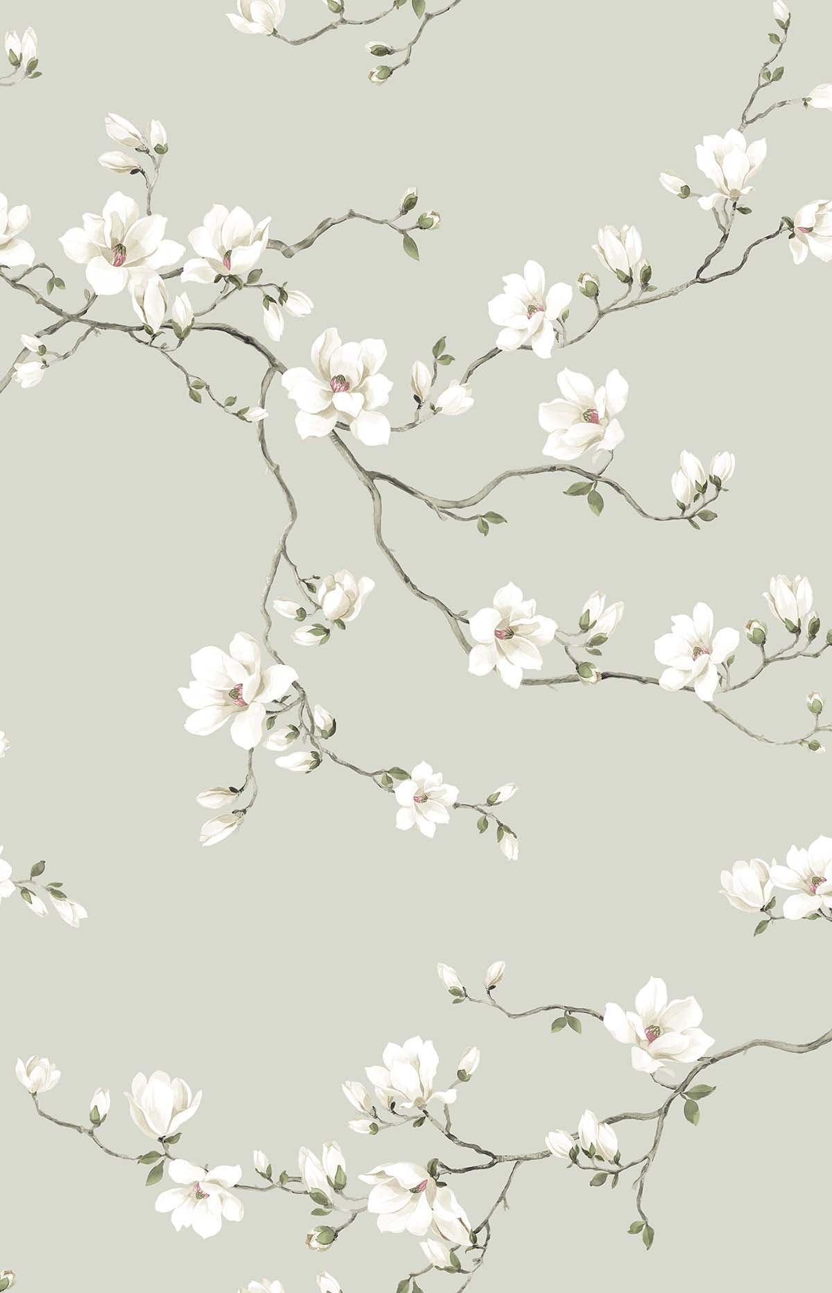 Moonlace Magnolia