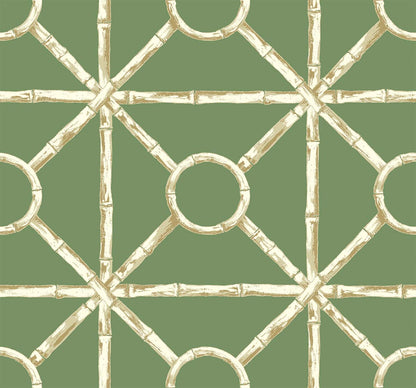 Zhen Bamboo