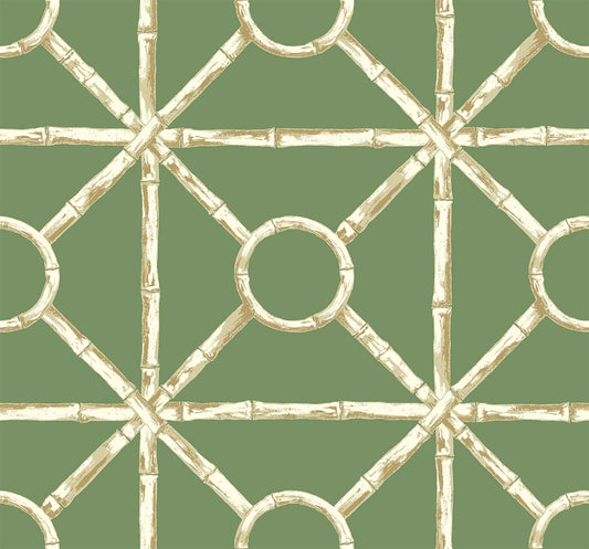 Zhen Bamboo