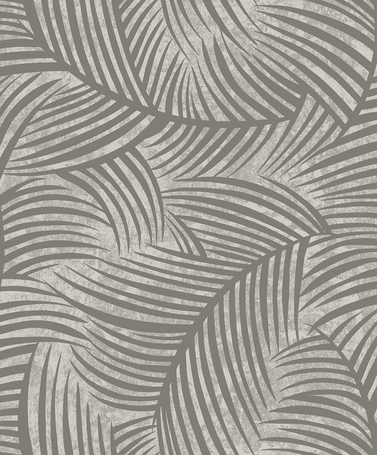 Zephyra