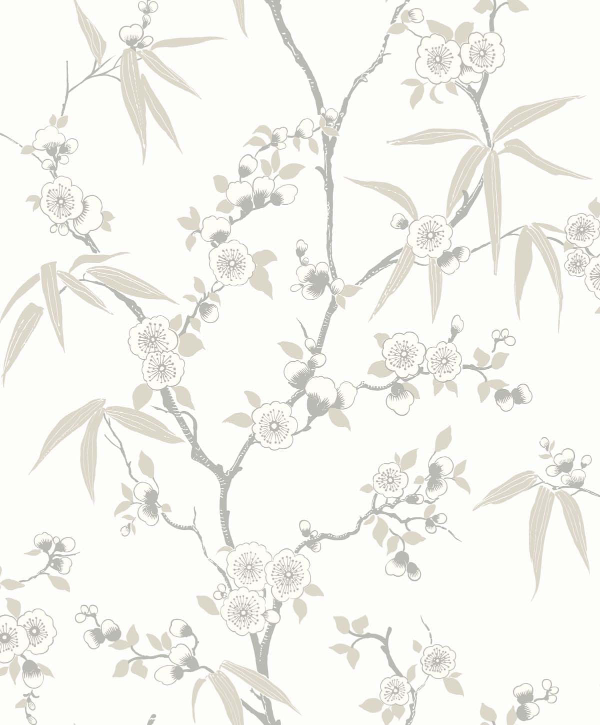 Asian Blossom