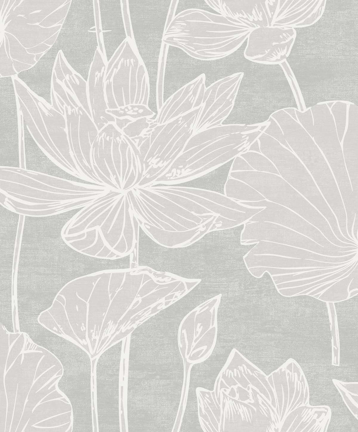 Kyoto Lily