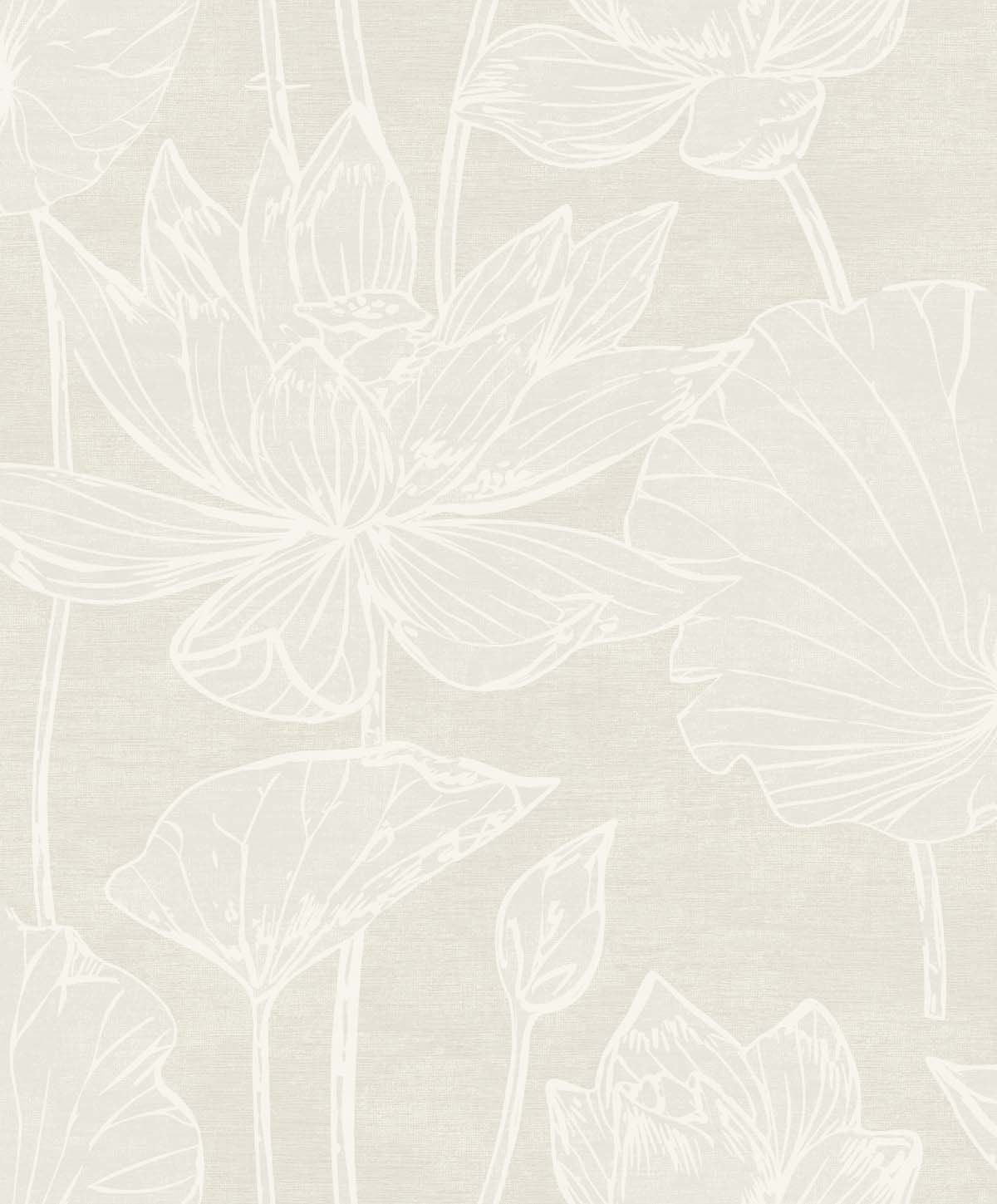 Kyoto Lily
