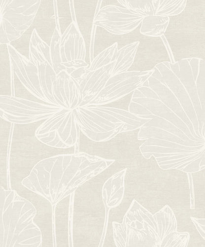 Kyoto Lily
