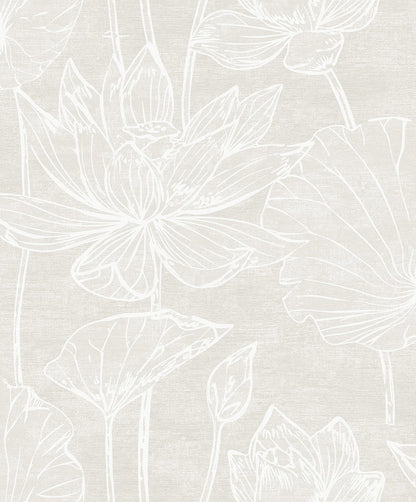 Kyoto Lily