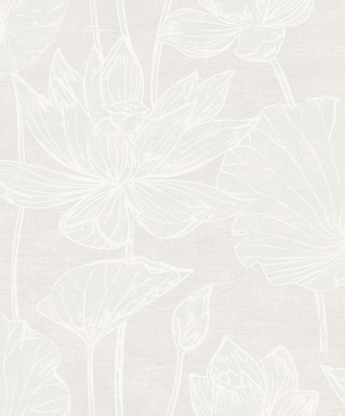 Kyoto Lily