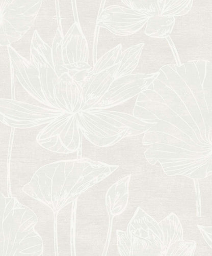 Kyoto Lily